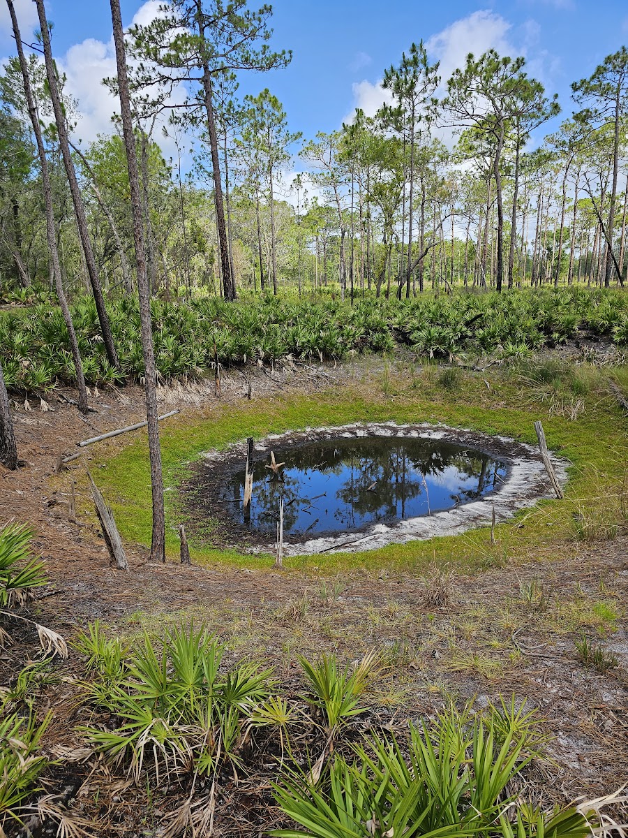 Back Country Campsite #3