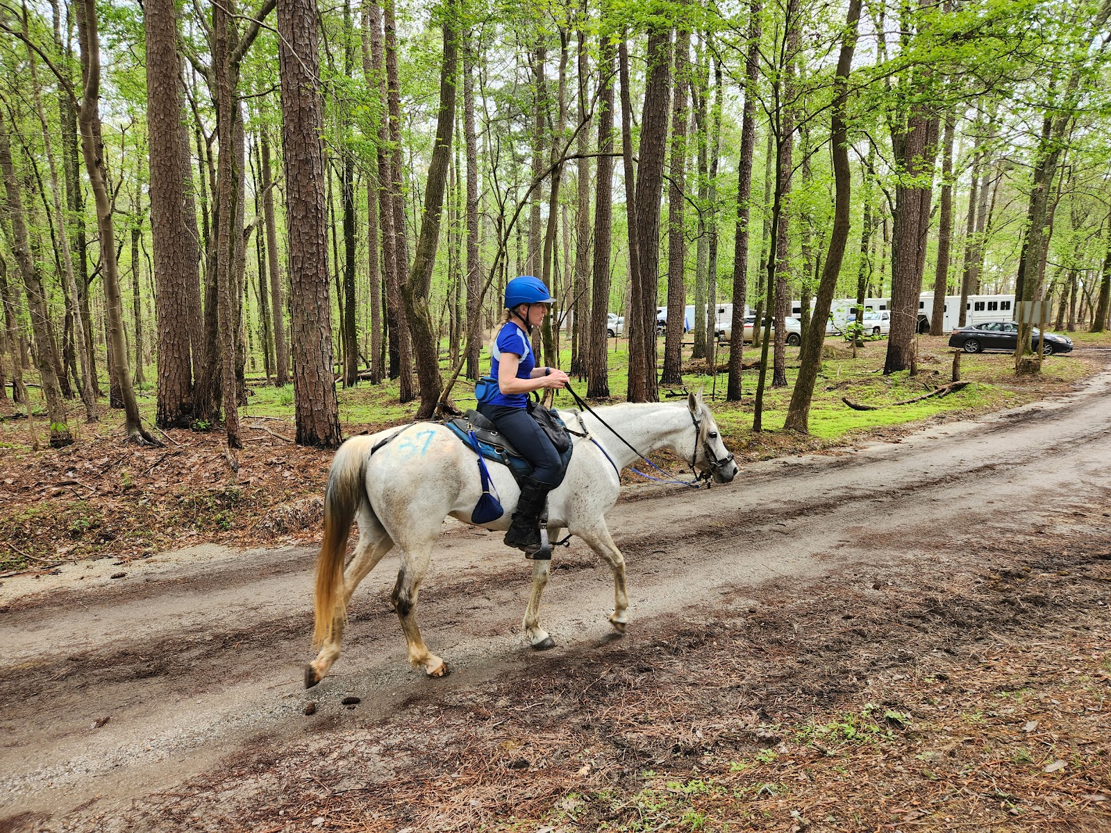Warden Station Horse Camp