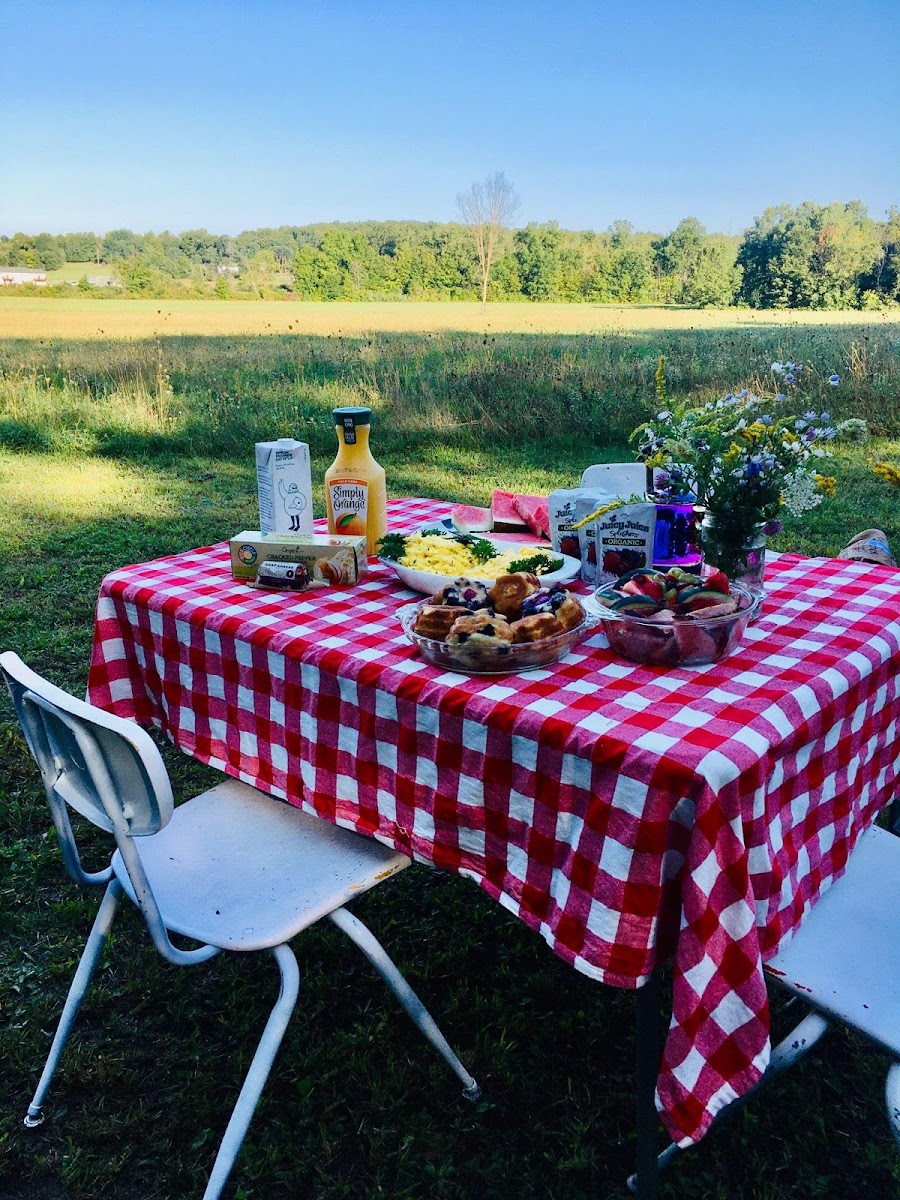 The Mellow Submarine Camp