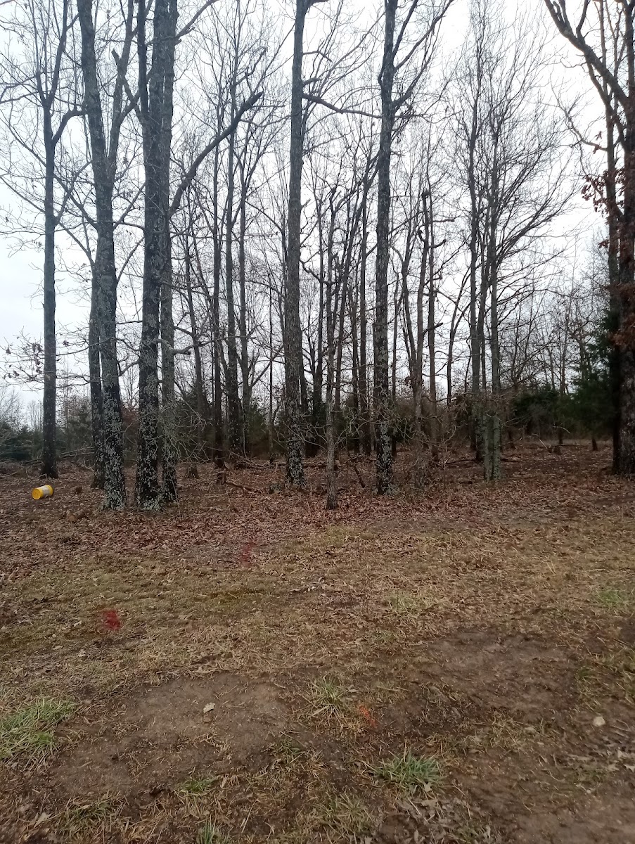 Highland eclipse camping