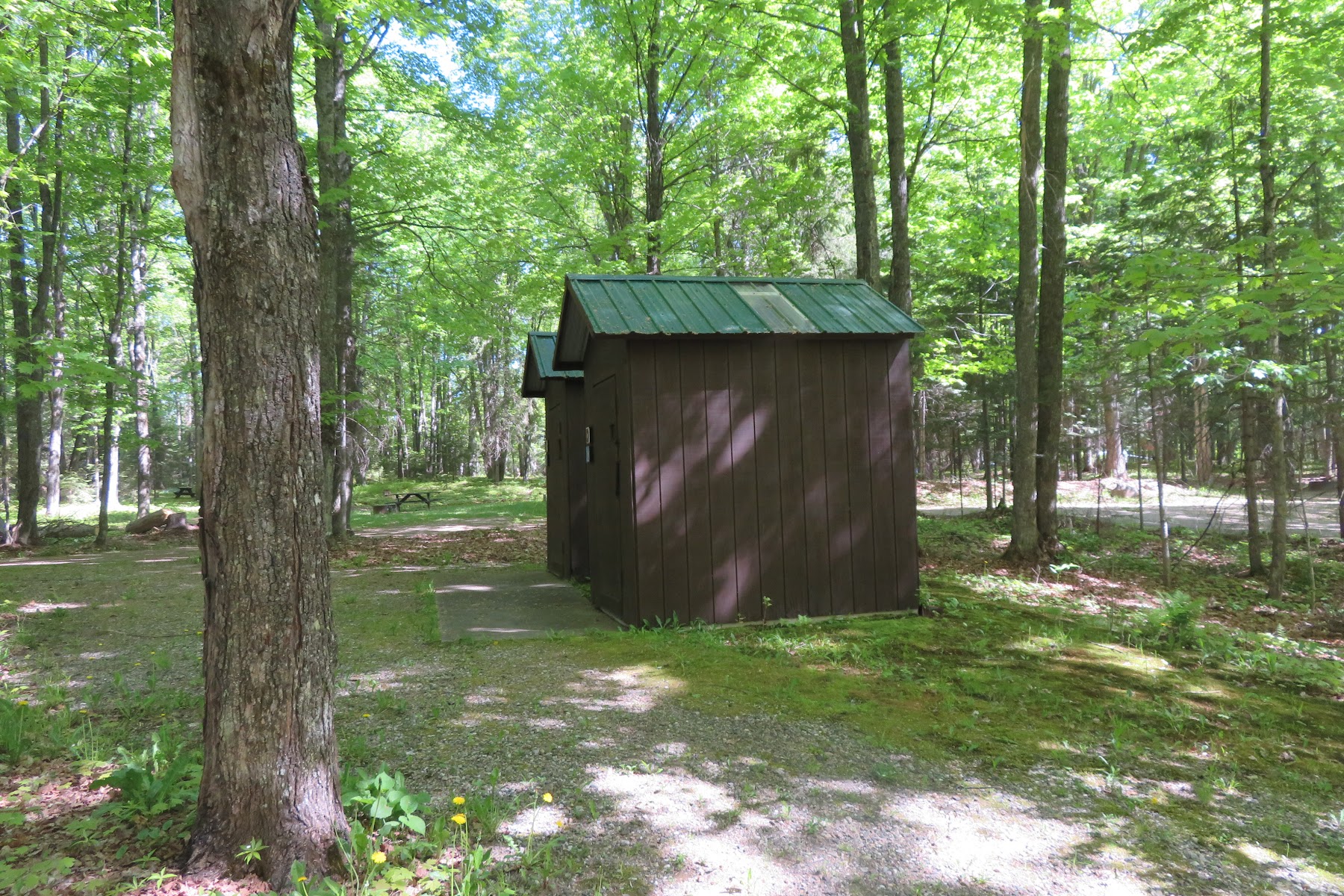 Ski-kwe zaag'igan (Squaw Lake) State Forest Campground