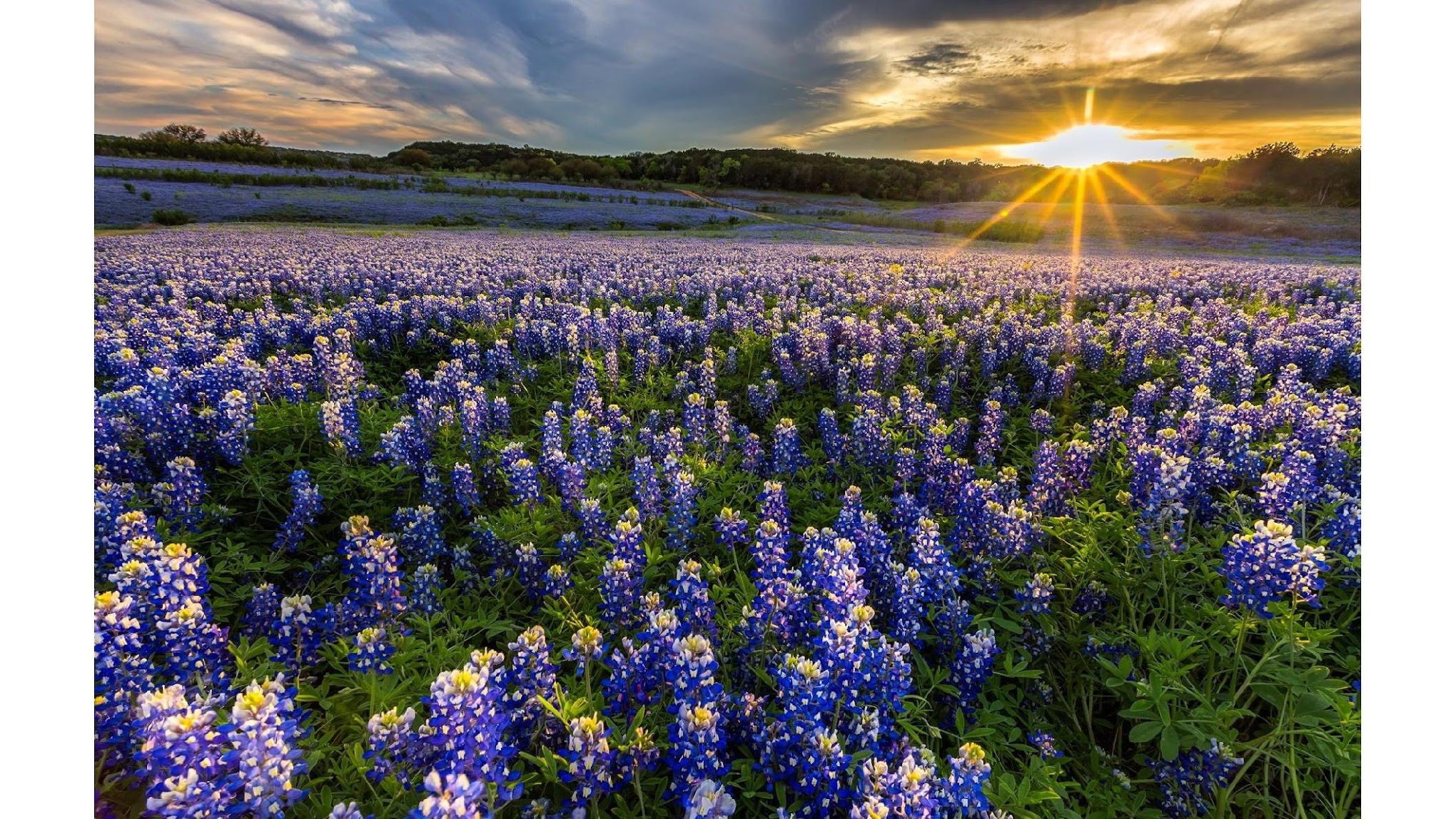 Stephenville / Dublin KOA Journey