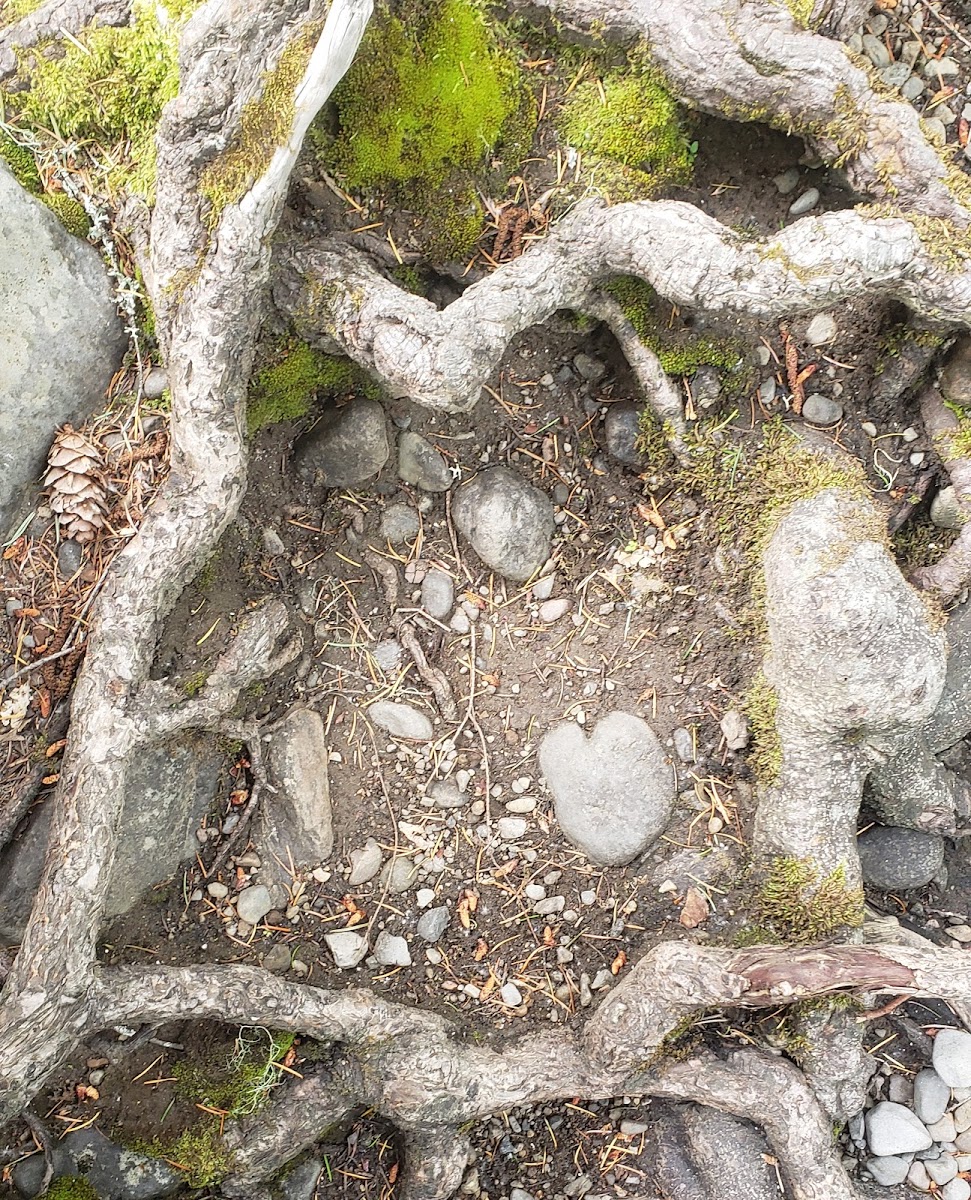 Trout Lake Creek Campground