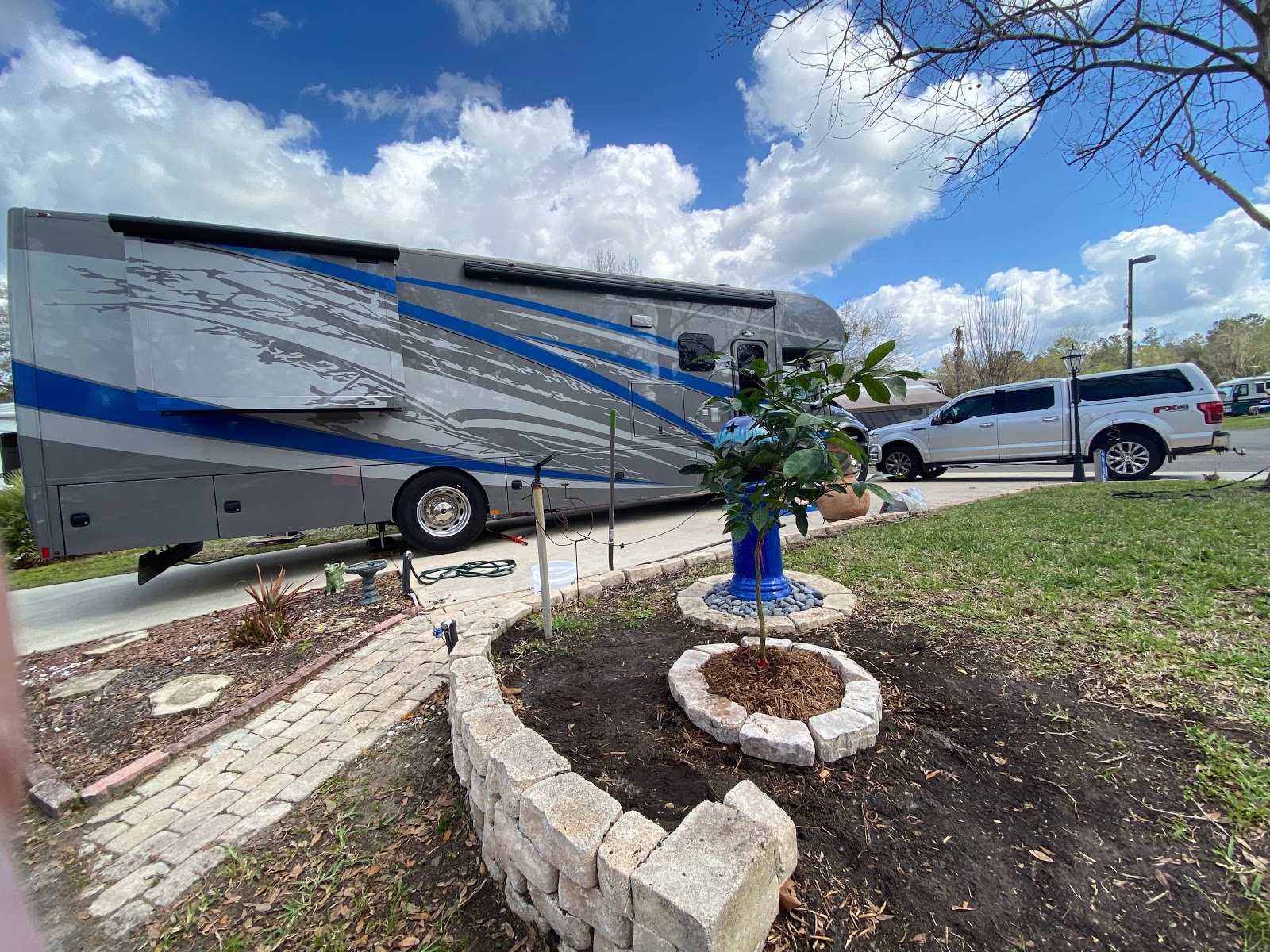 JazzyPigs Wilderness Refuge