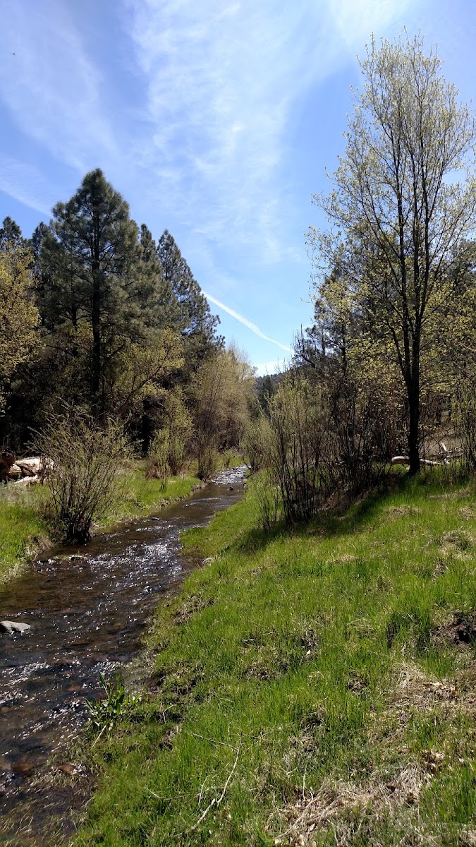 Black Canyon Campground - Lower