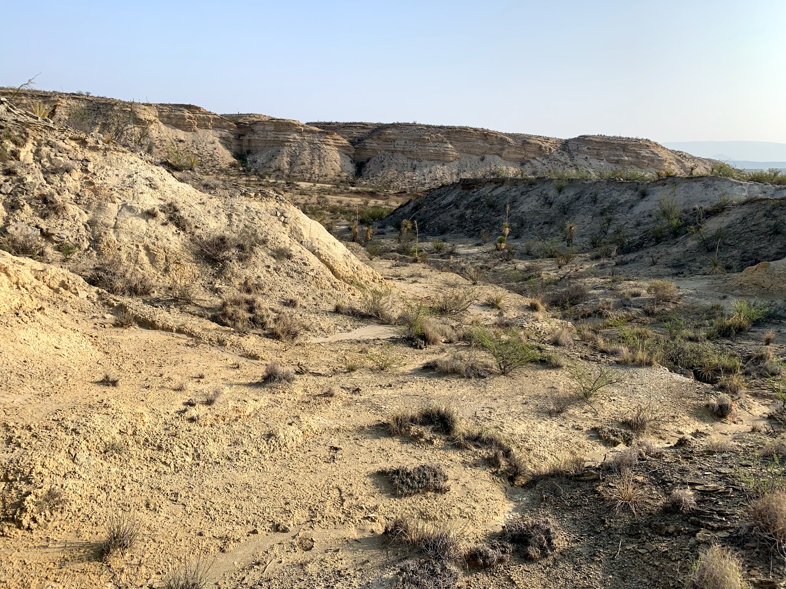 Savvy Retreats | Big Bend | Texas