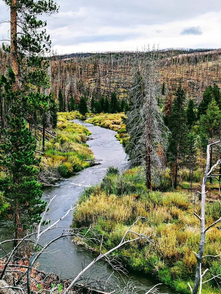 Pelton Creek Campground