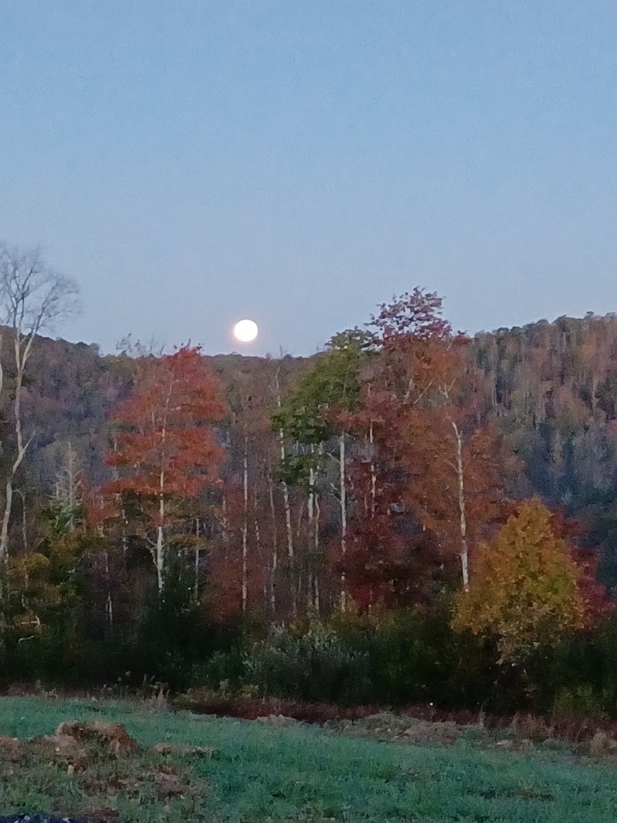 Sunset Ridge Campground LLC