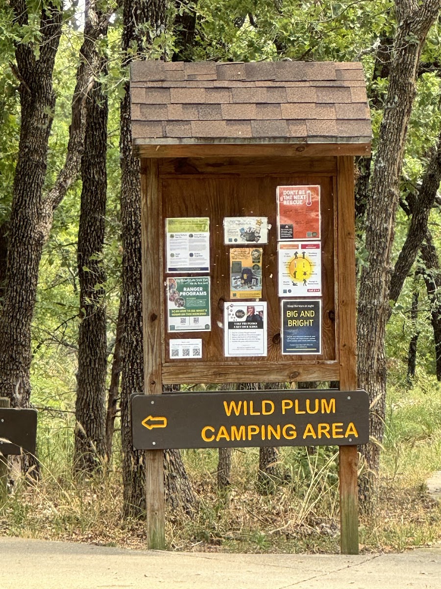 Wild Plum Camping Area