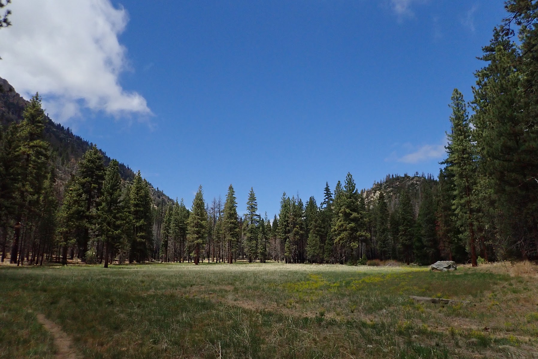 Willow Meadows Campground
