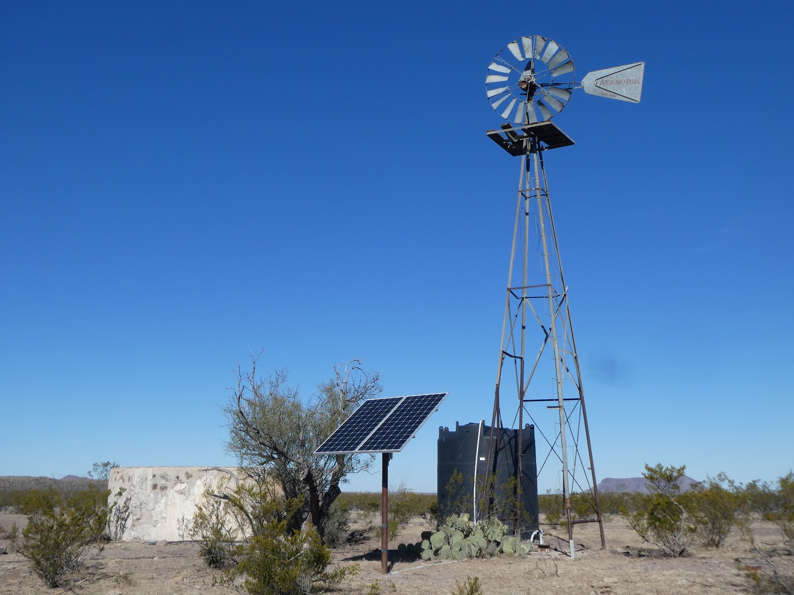 Papalote Llano Nuevo
