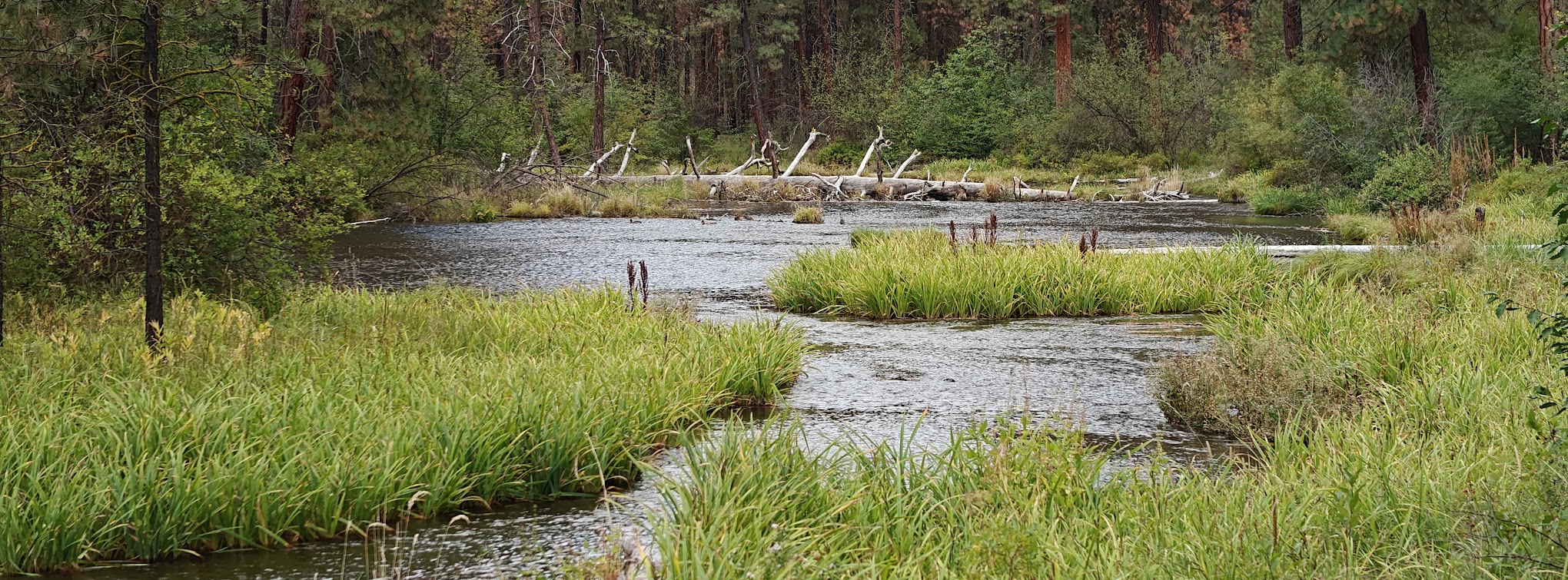 Riverside Campground