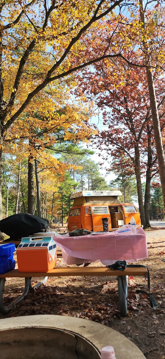 Wilderness State Park Campground