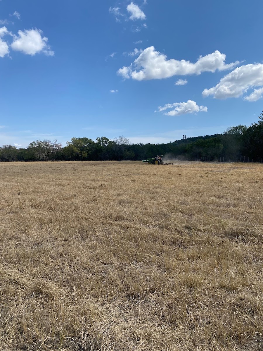 Grandma's RV Pasture