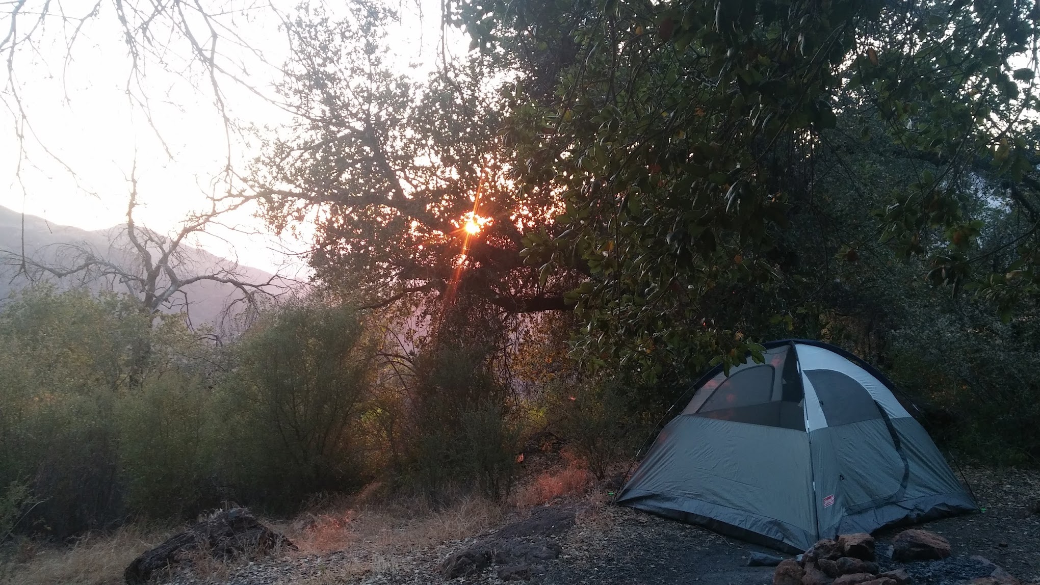 Little Pine Spring Camp