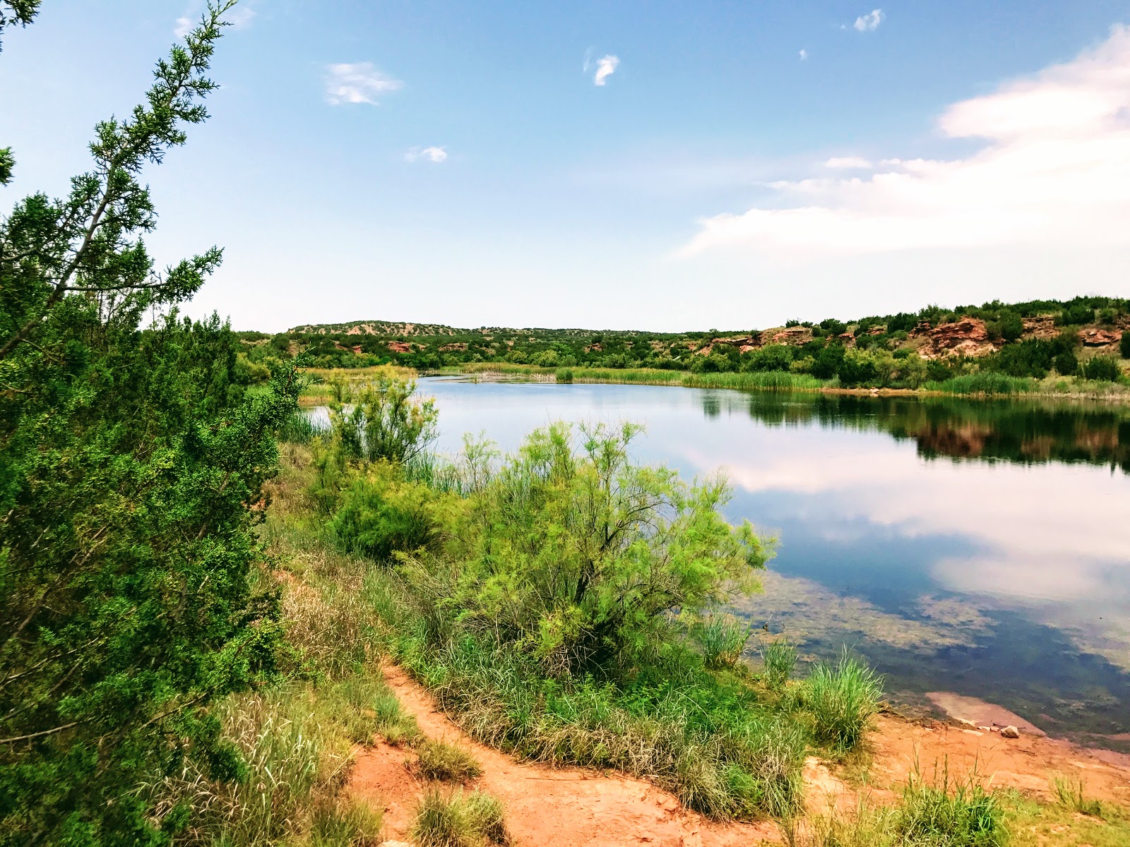 Big Pond Equestrian Campground