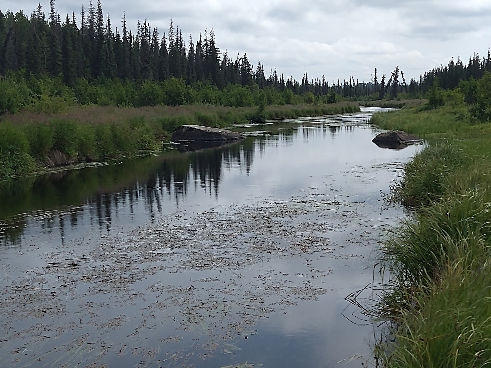 Swanson River Campground