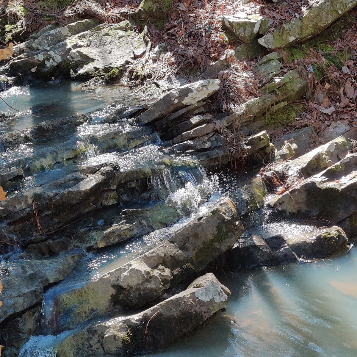 BSA Camp Jack Wright