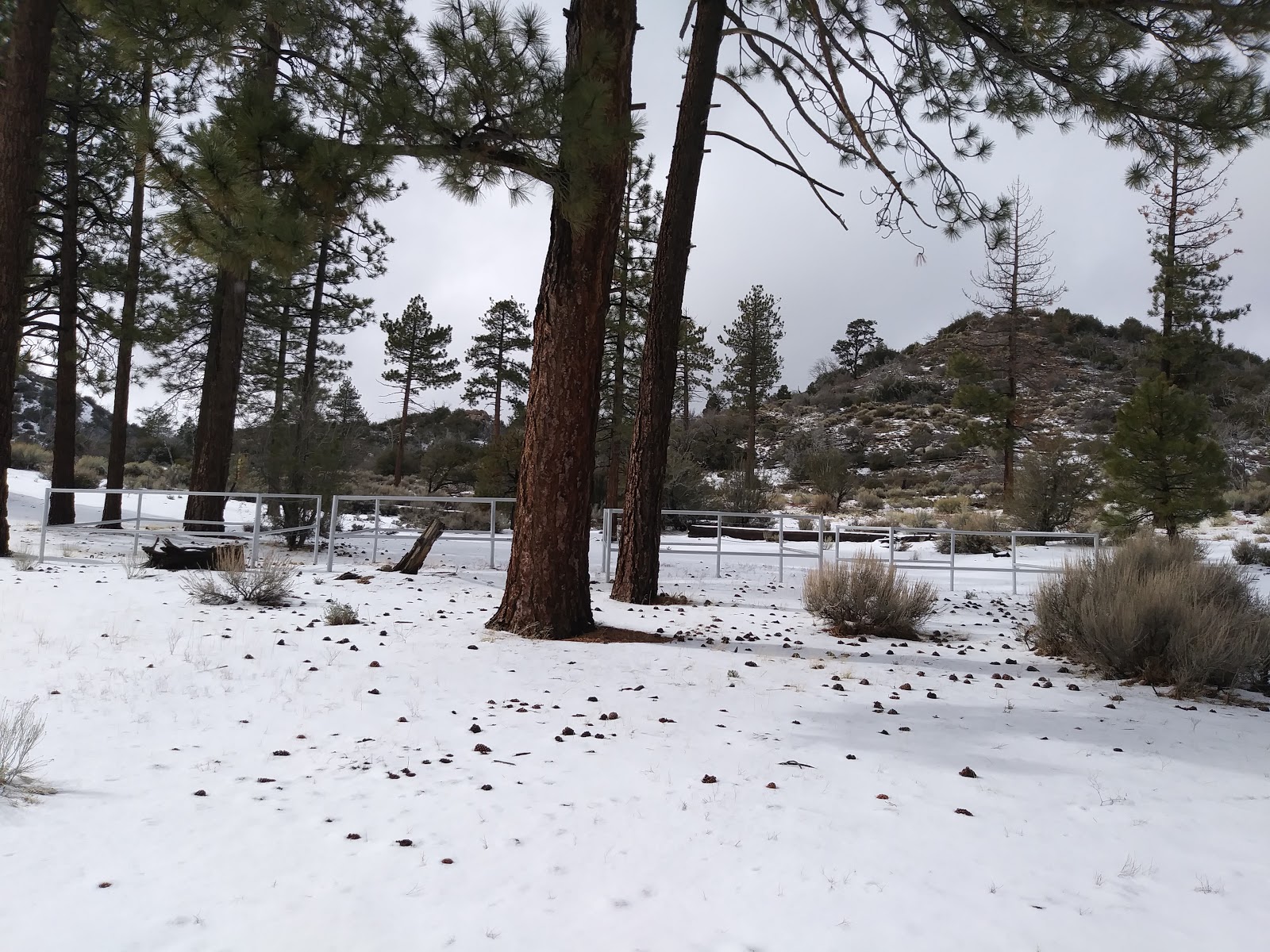 Big Pine Equestrian Group Campground