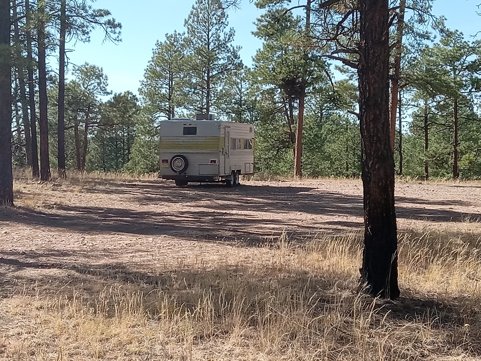 Wolf Hollow Campground