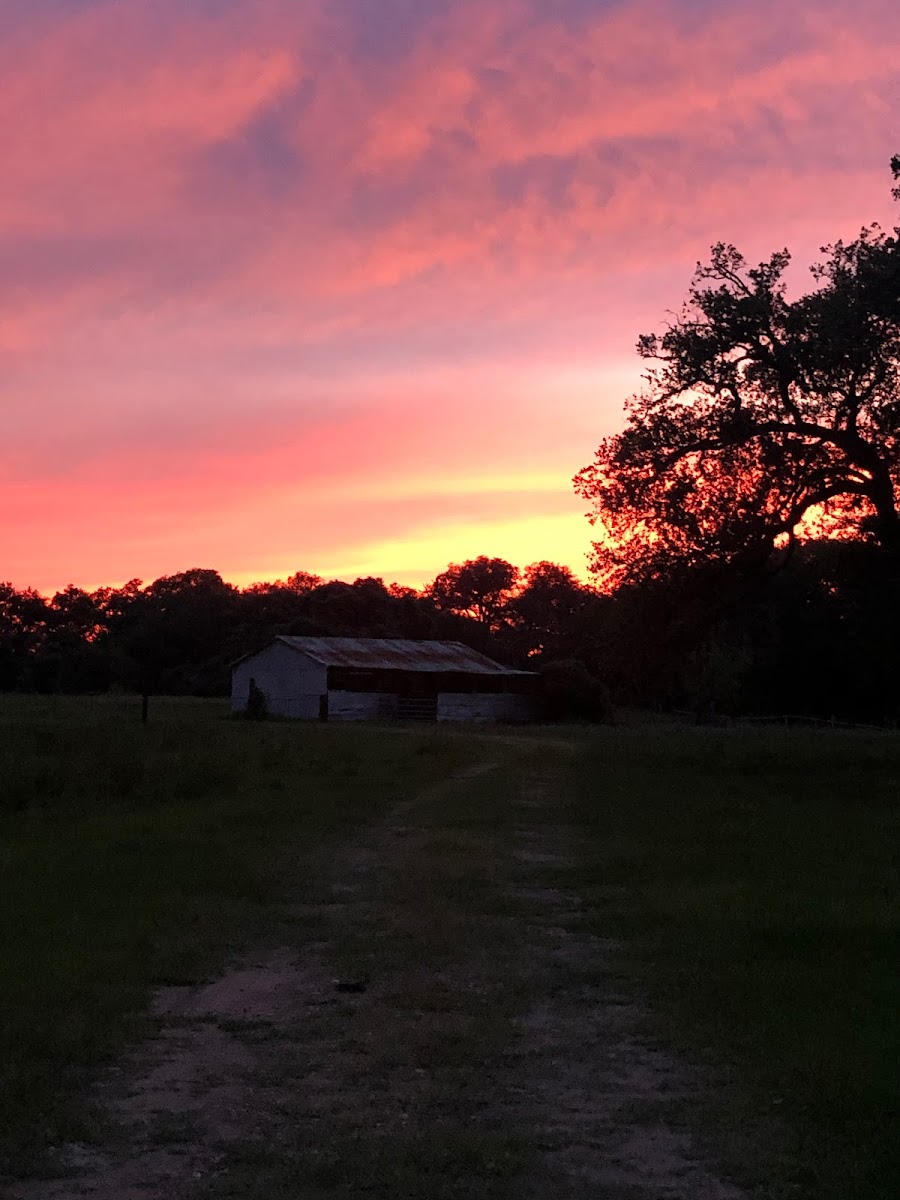 Country Oaks RV Park