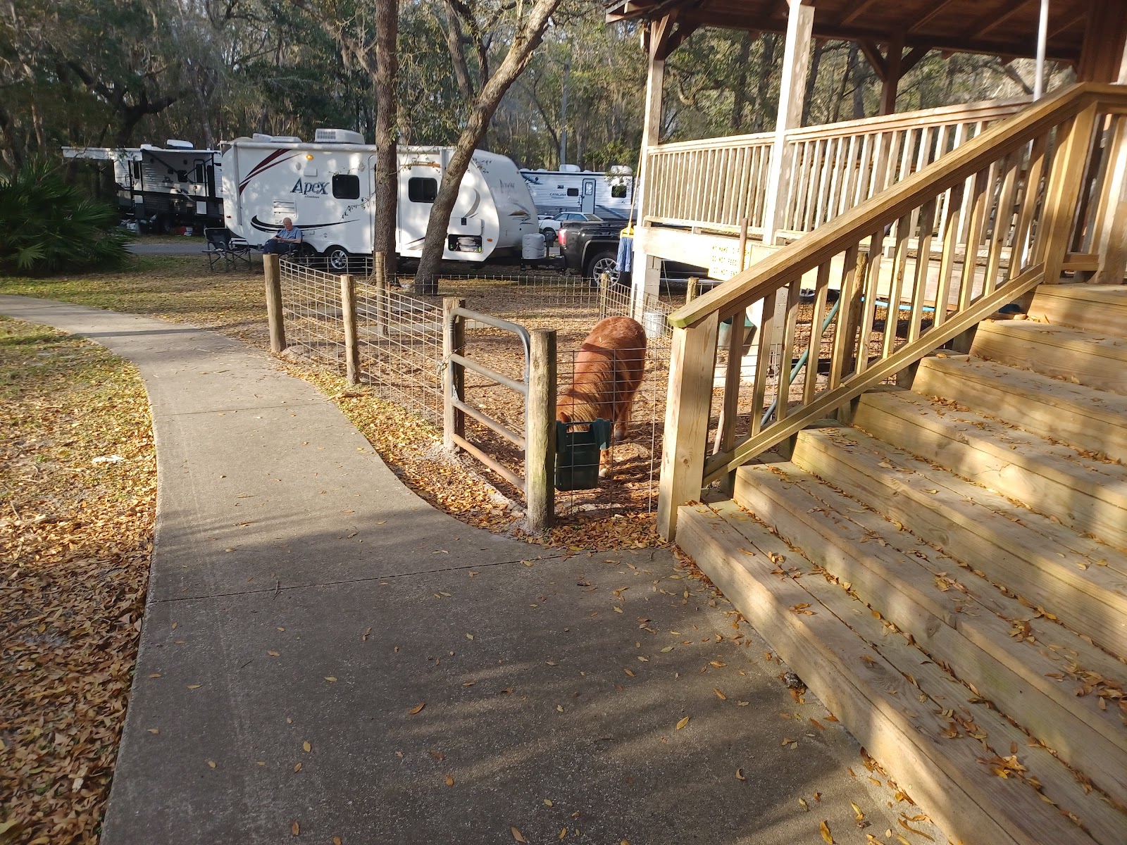 Country Oaks Campground & Rv