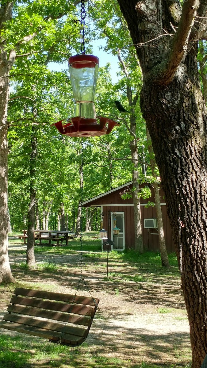 Deer Run RV Park & Campground