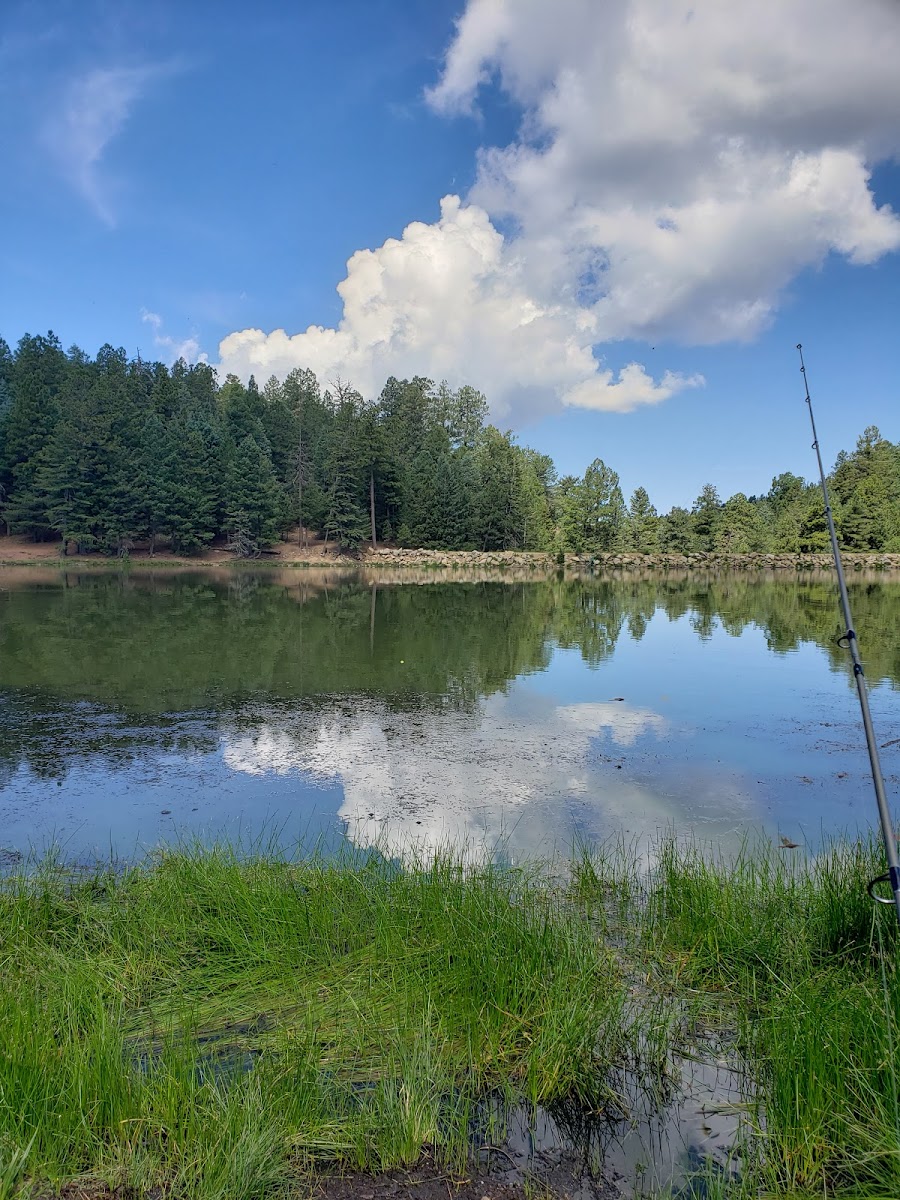 Riggs Flat Lake (recgovnpsdata)