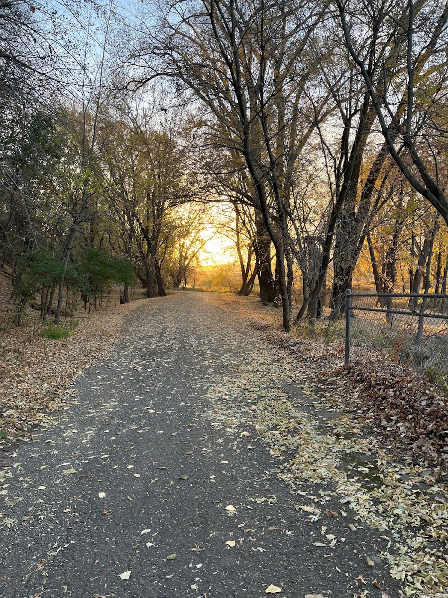 Wills Riverview Campground