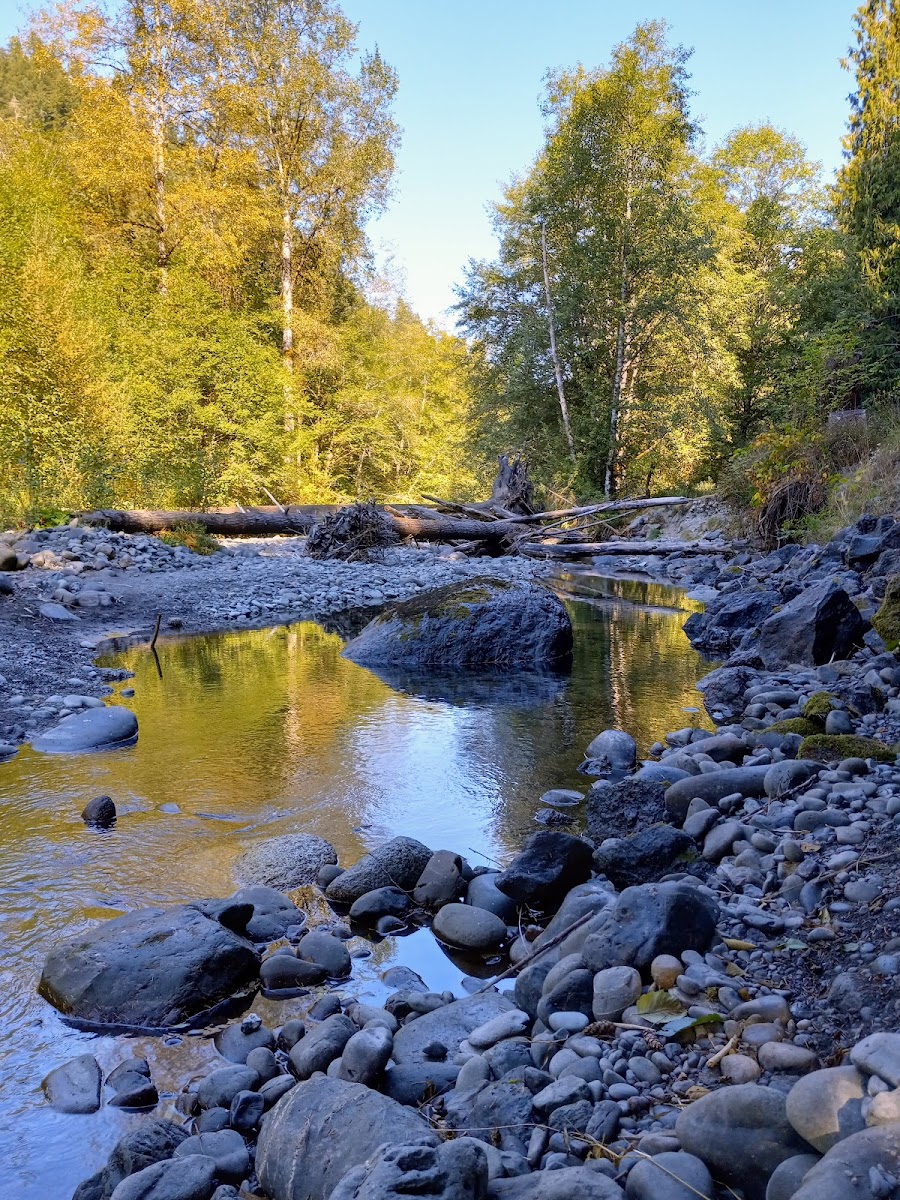Dungeness Forks Campground