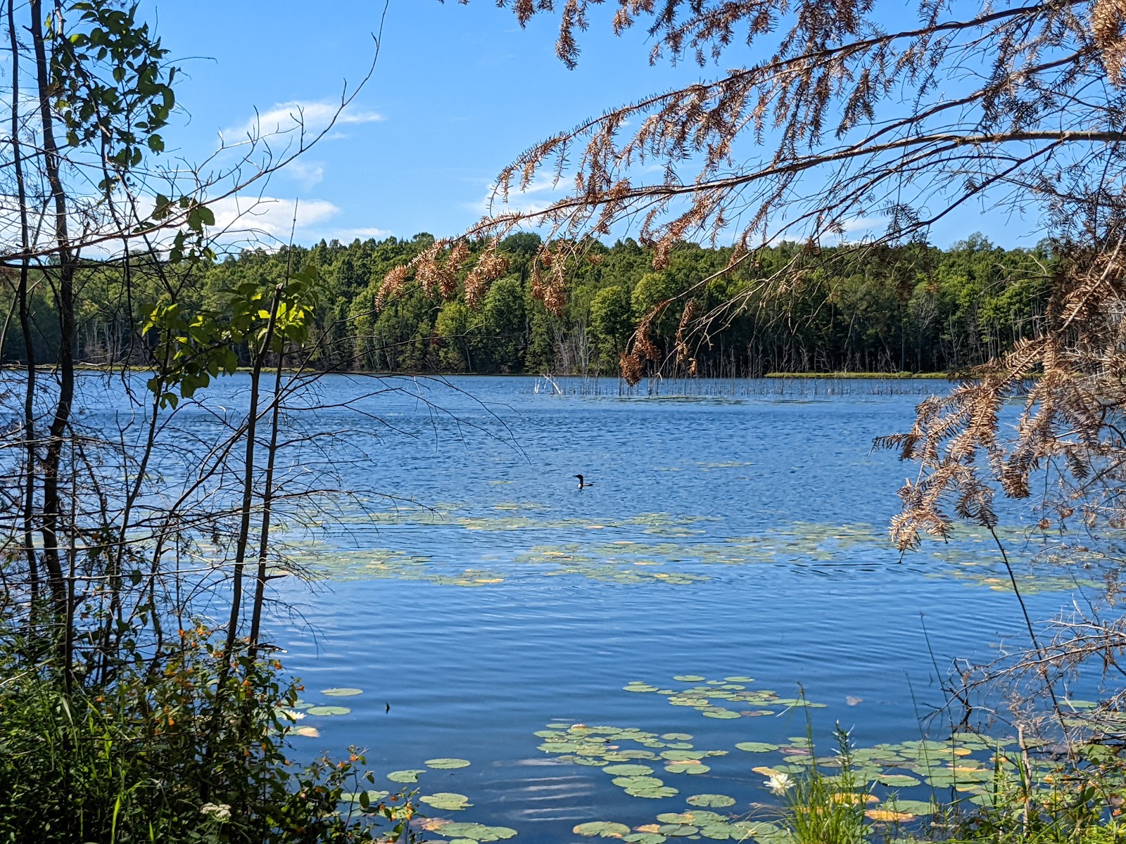 Perch Lake Campground