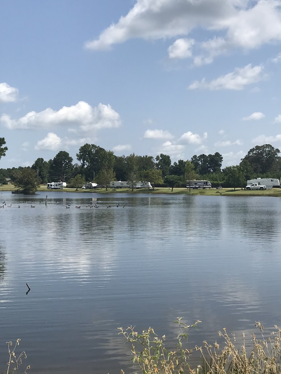 Briar patch RV park warren ar