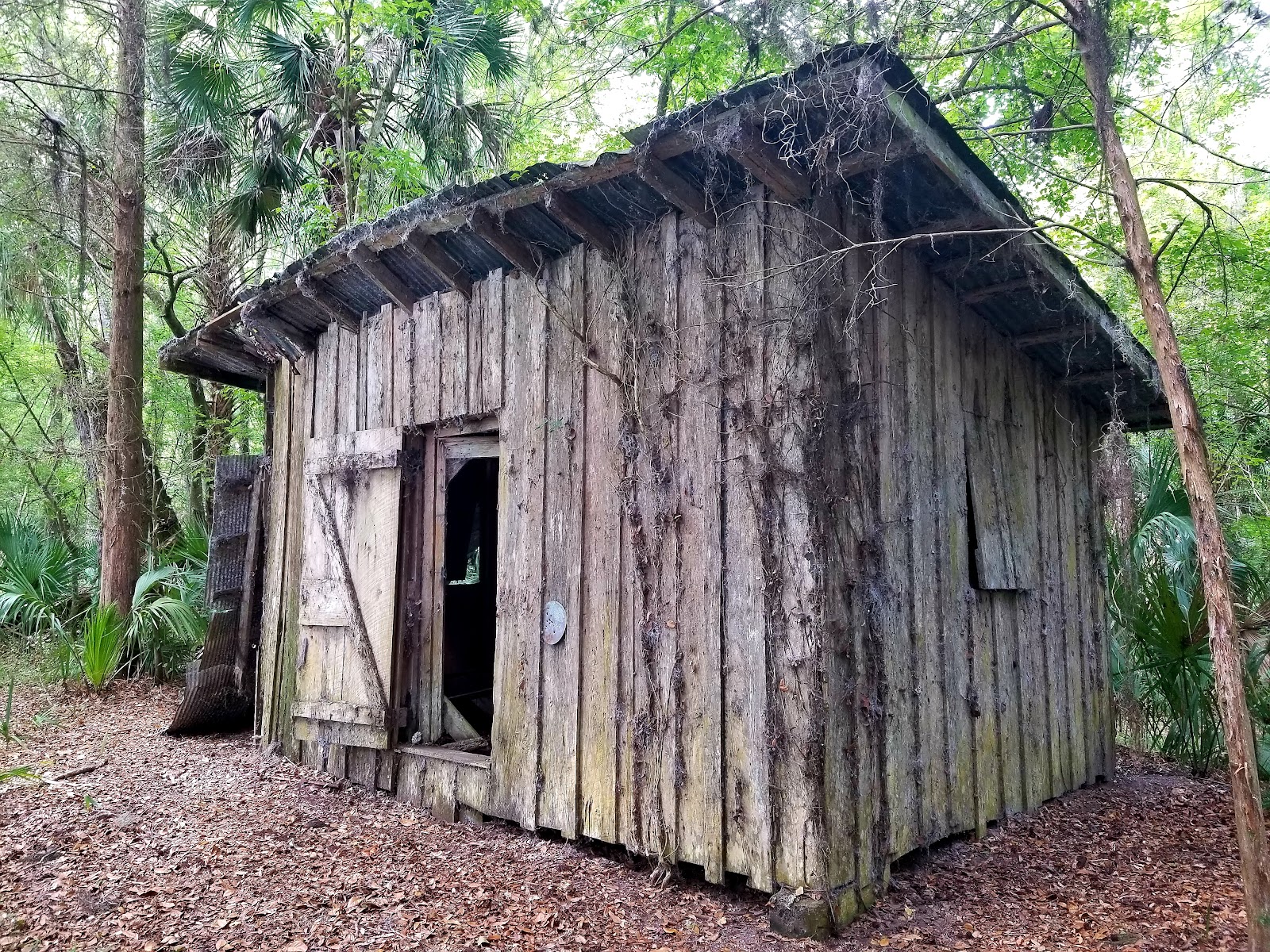 Potts Preserve Campground