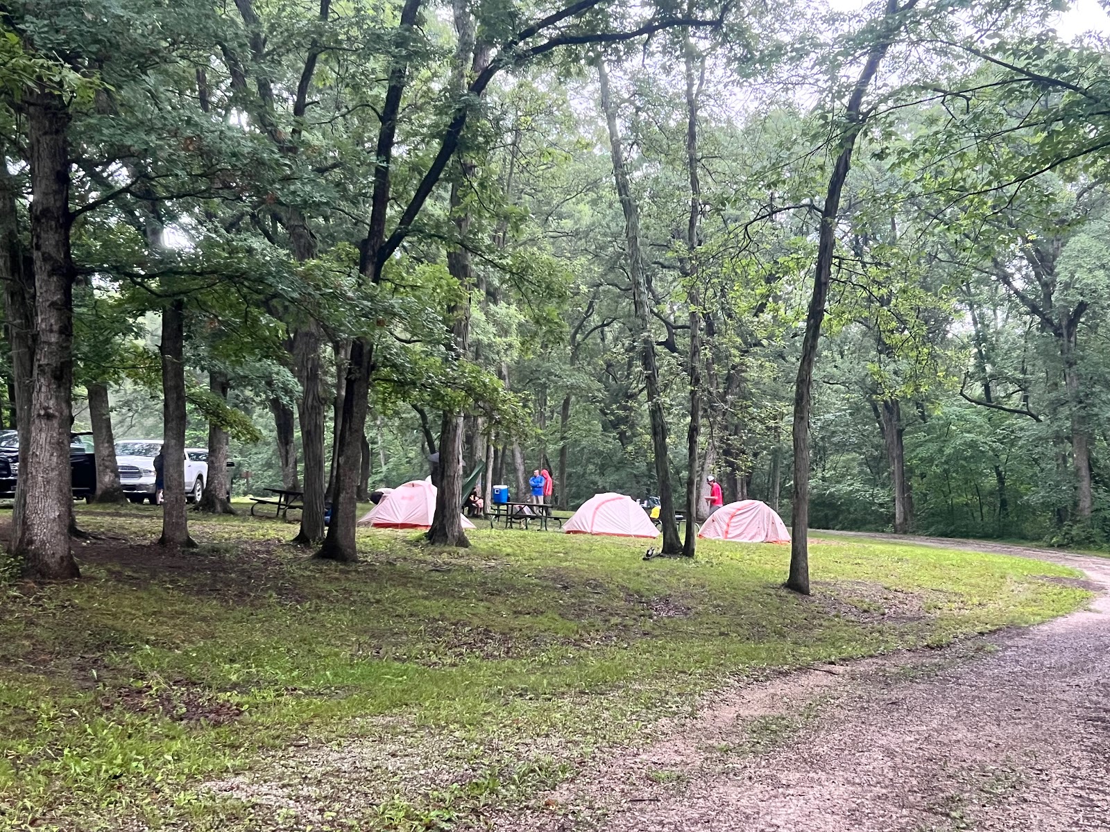 Stephen's Forest Boy Scout Camp Y0003