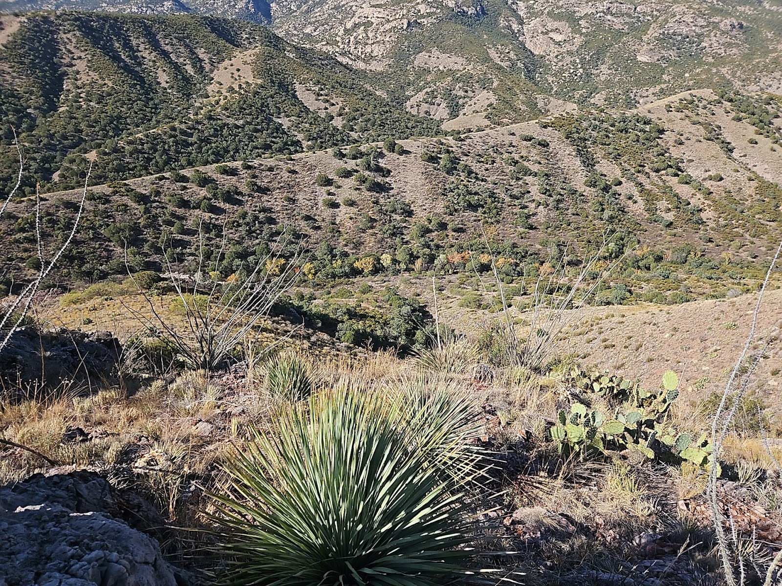 Miller Flats Campground #3