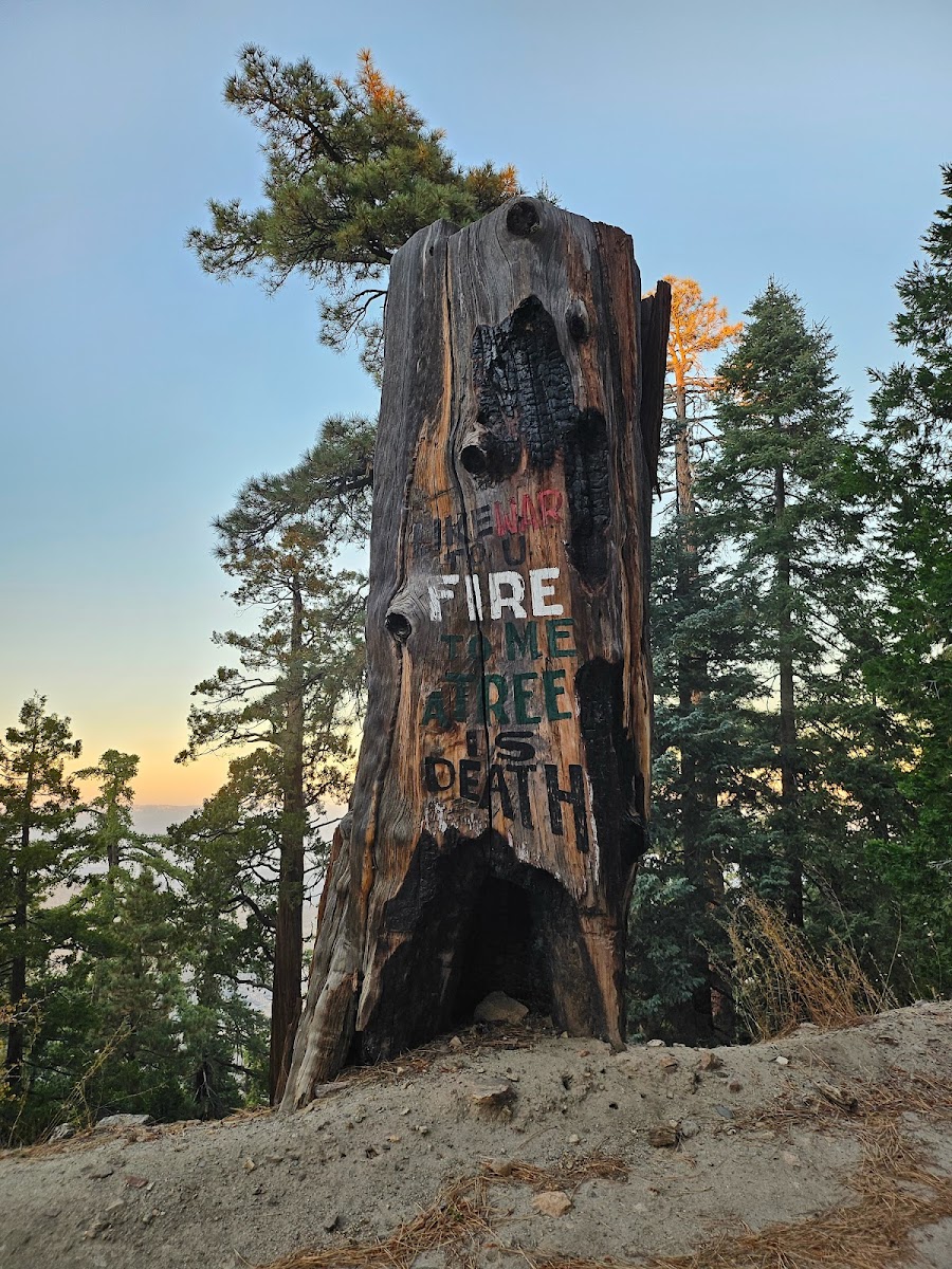 Santa Rosa Yellow Post Sites