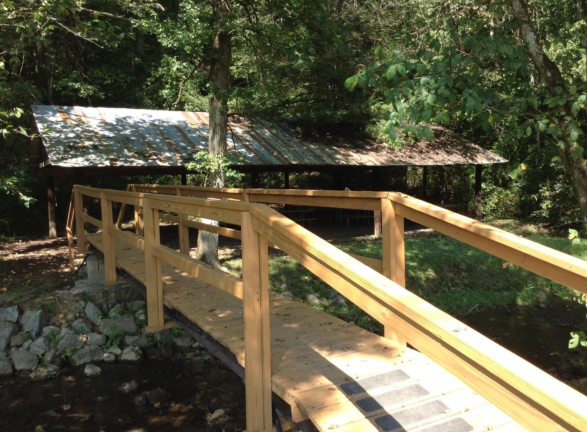 The Crosseyed Cricket