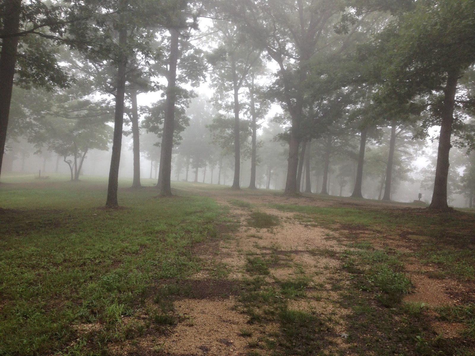 Alley Cat's Campground & RV Park