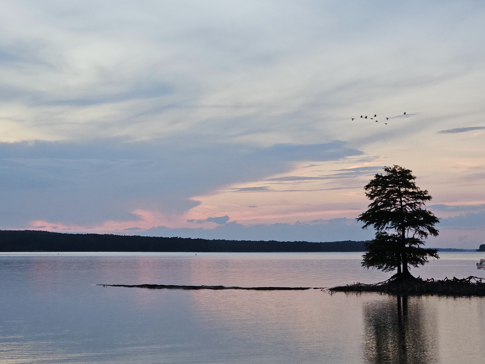 Shady Oaks Marina & RV Park