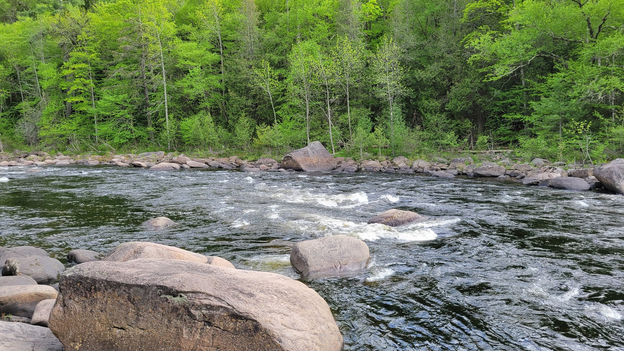 Boreas Hudson Confluence Camp Site