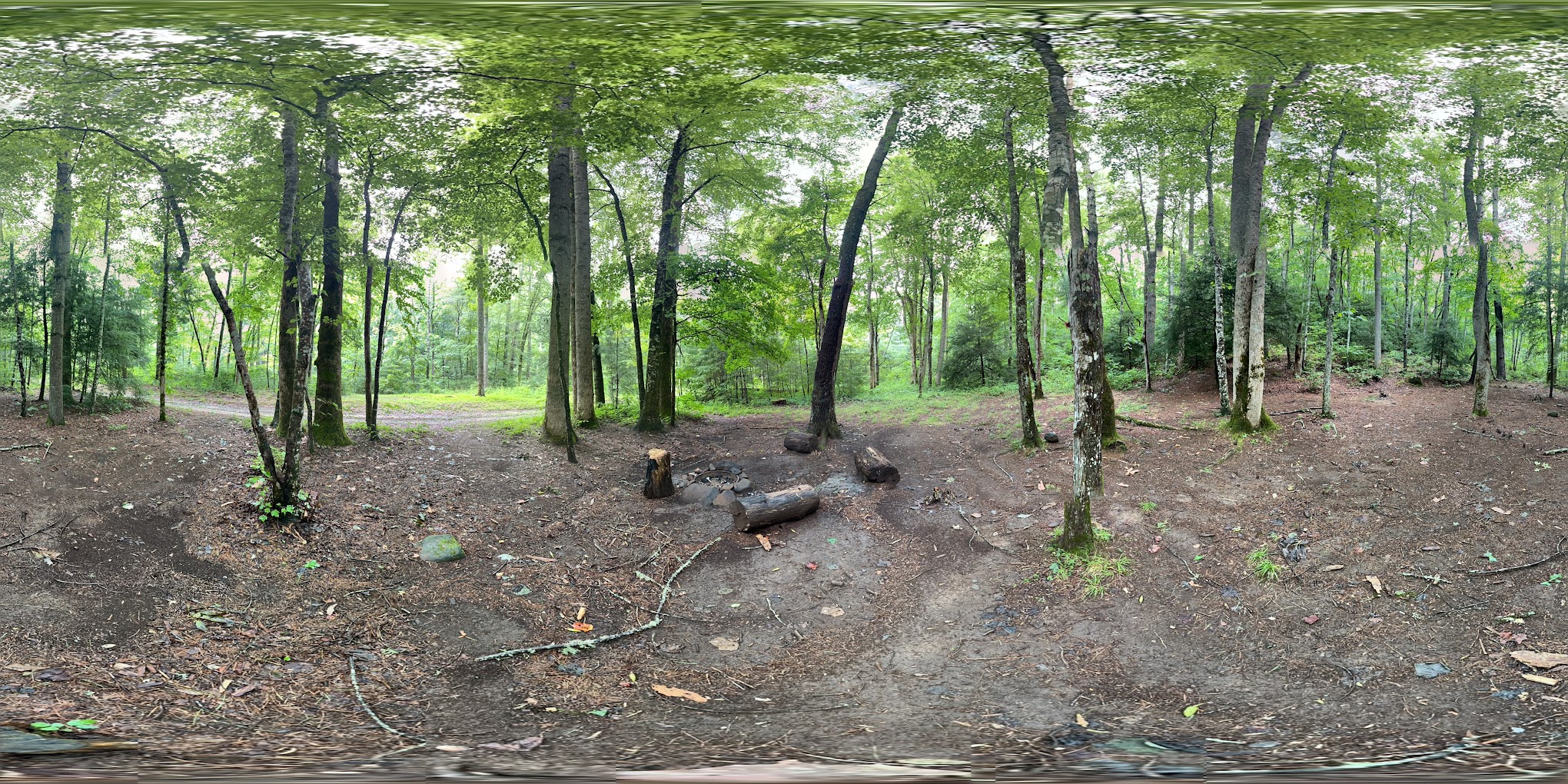 Backcountry Campsite #85