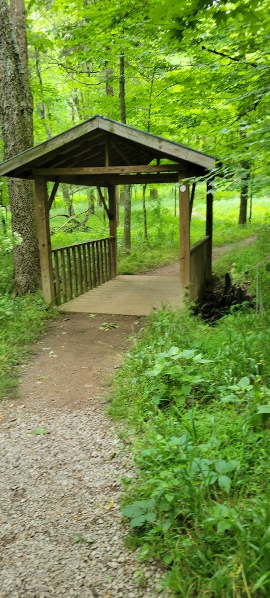 South Side Area Campground