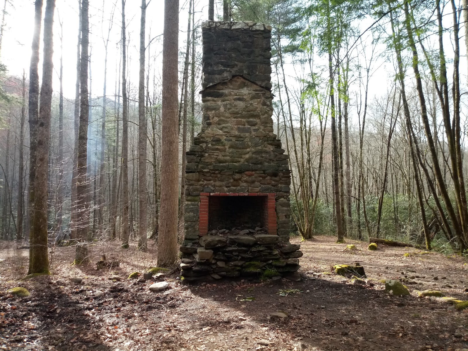 Backcountry Campsite #71