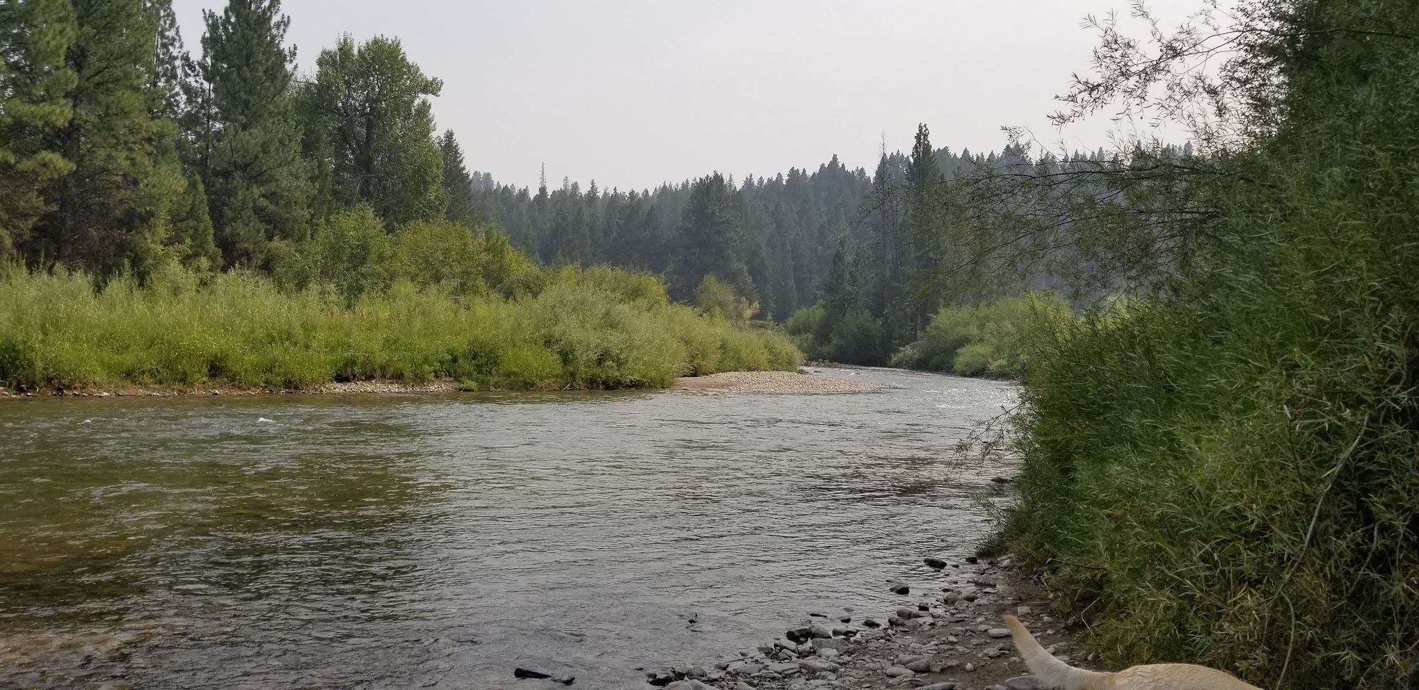 River Junction Campground