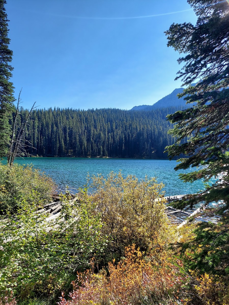 Therriault Lake Campground
