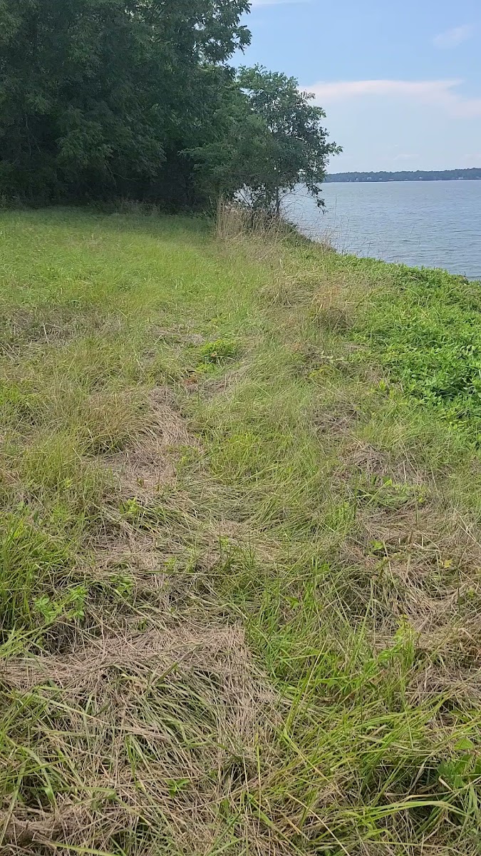 Hog Point Campground