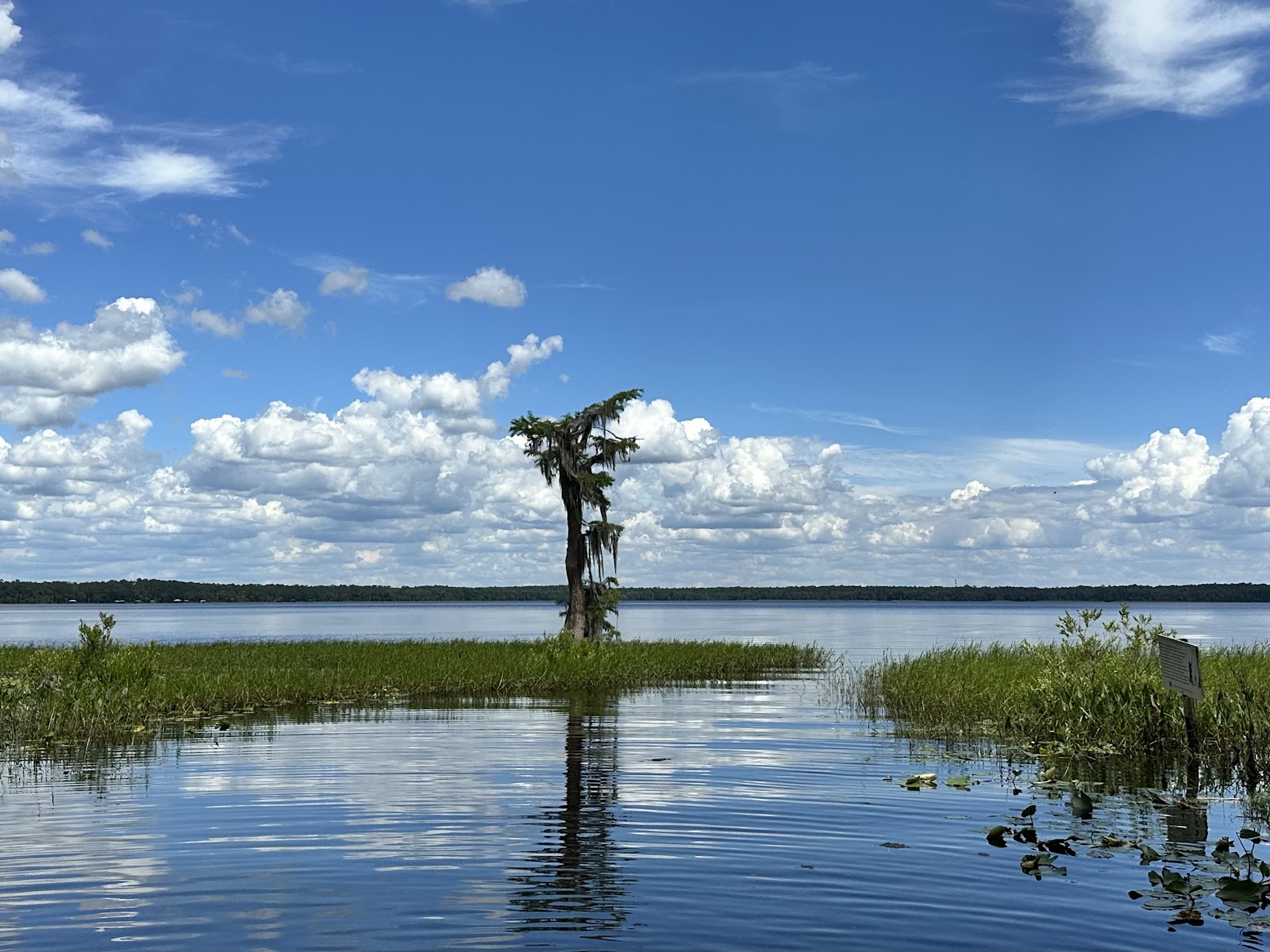 Olustee, FL. Hog Pen Landing