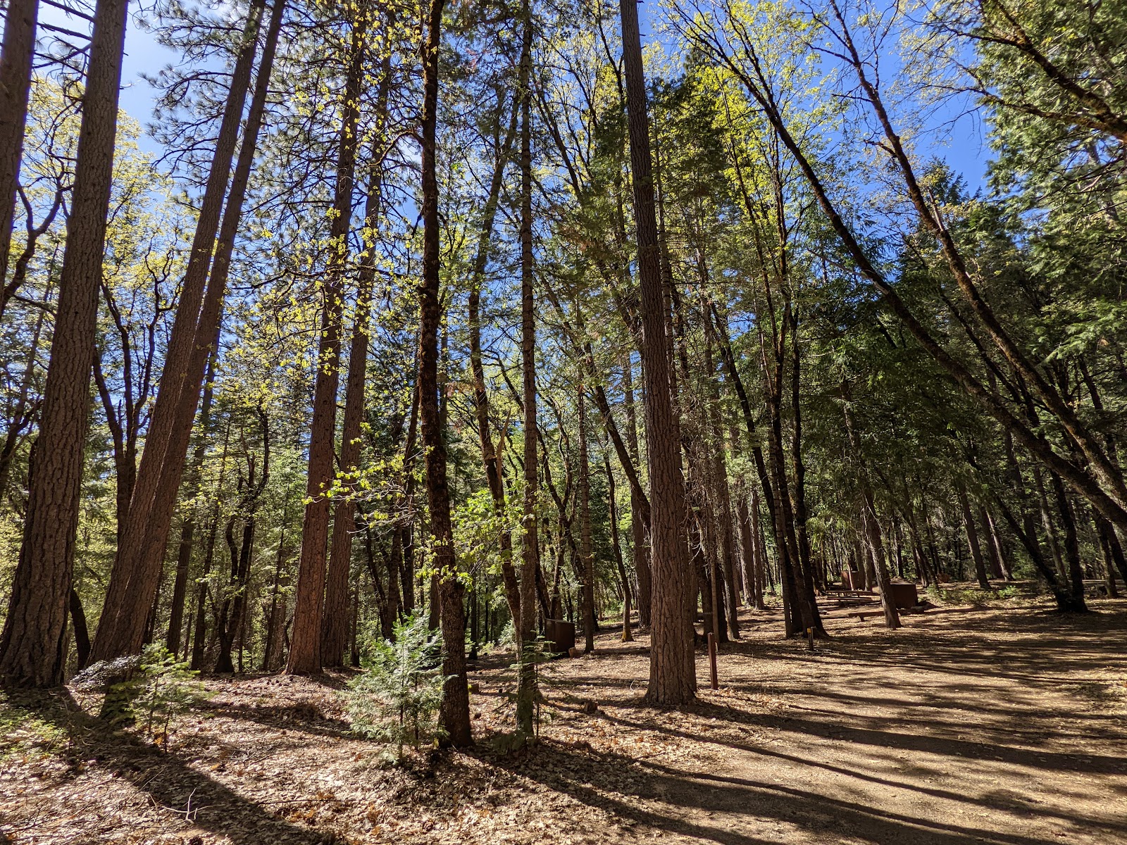 Loganville Campground