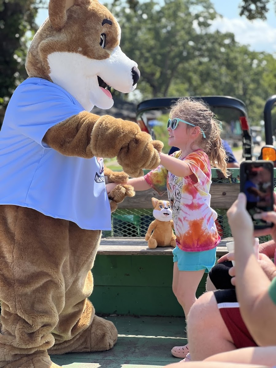 Great Escapes Camping & Cabins Branson