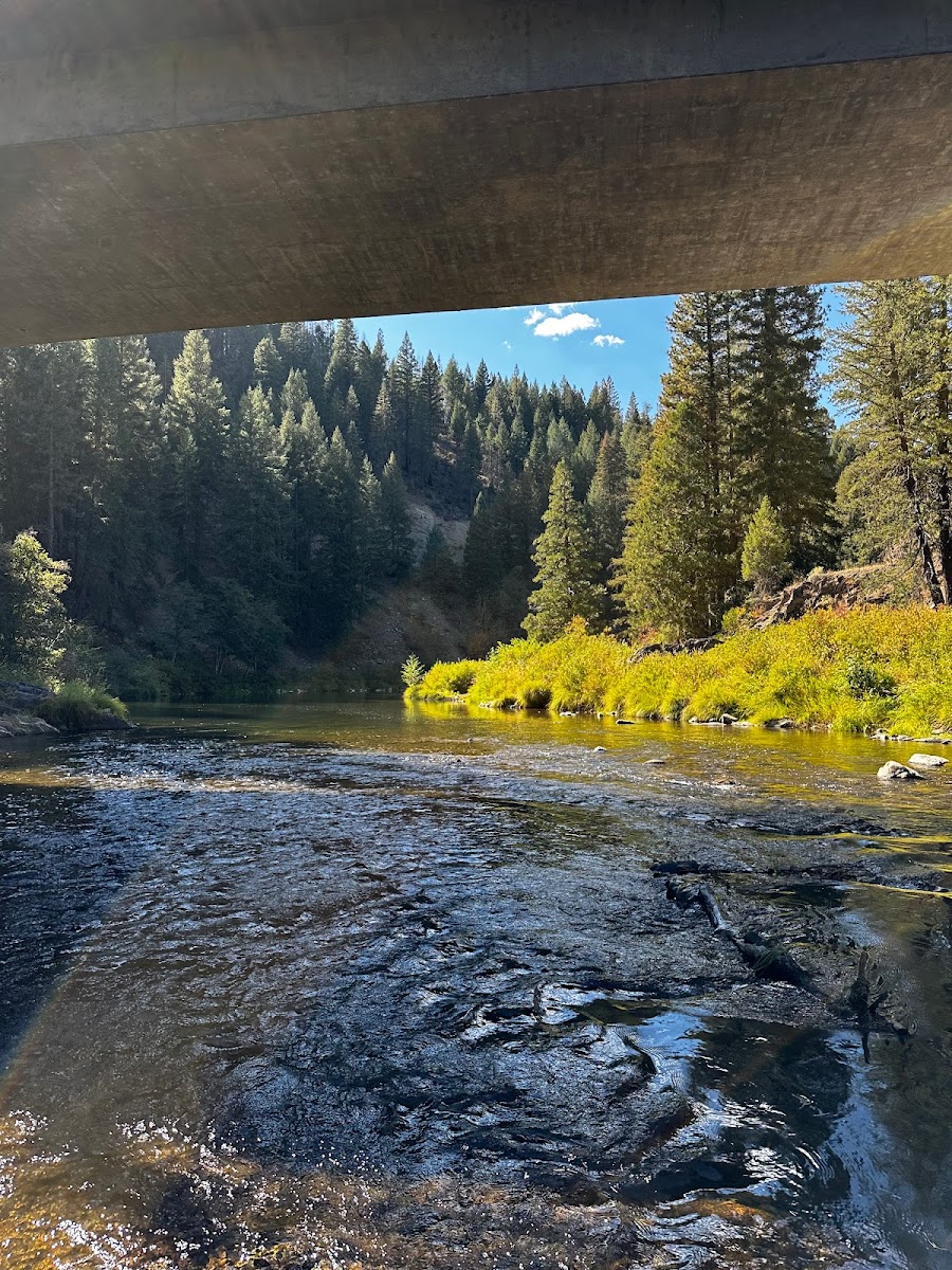 Redbridge Campground